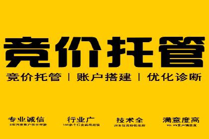 百度竞价赚钱的实战案例分析